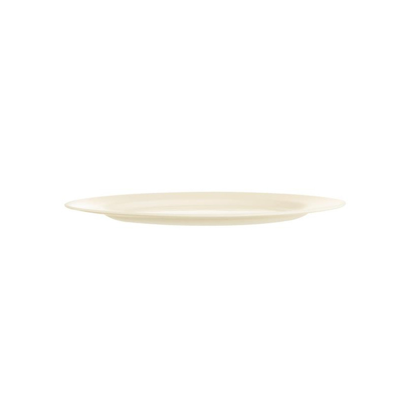 Assiette 240 intensit PRO - ARCOROC - ARC-AA0195