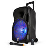 Enceinte Sono Mobile Karaoke 600W Noir - MY DEEJAY - MAGIK12