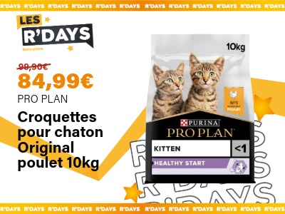 Croquettes pour chaton Original poulet 10Kg - PRO PLAN | Ravate.com Image : Croquettes pour chaton Original poulet 10Kg - PRO PLAN | Ravate.com