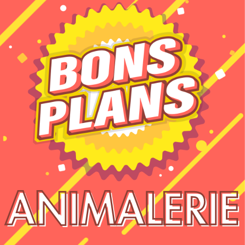 voir toute la sélection bons plans